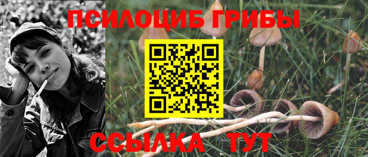Псилоцибиновые грибы MAGIC MUSHROOMS Белогорск